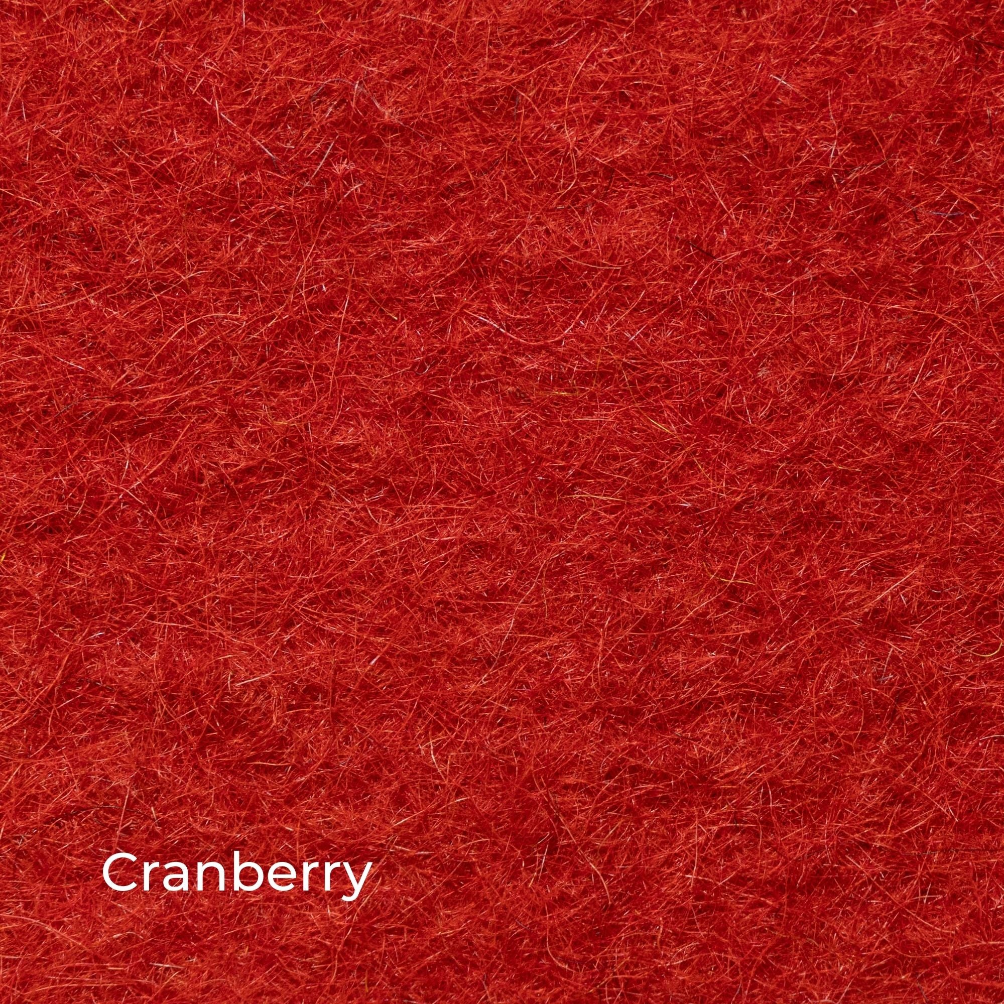 Color Sample Box